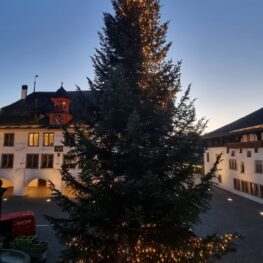 Tetra Tech Veranstaltungstechnik AG_Referenzen_Tannenbaum Beleuchtung_Rathausplatz Thun (2)