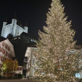 Tetra Tech Veranstaltungstechnik AG_Referenzen_Tannenbaum Beleuchtung_Rathausplatz Thun (2)