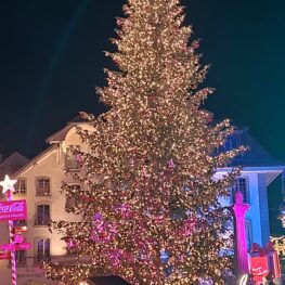 Tetra Tech Veranstaltungstechnik AG_Referenzen_Tannenbaum Beleuchtung_Rathausplatz Thun